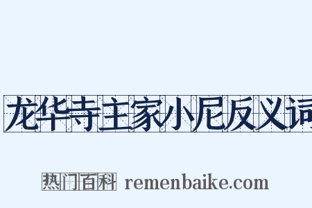 龙华寺主家小尼反义词是什么意思的图片